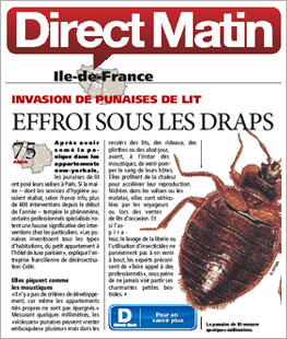 Punaise de lit la presse en parle Direct Matin